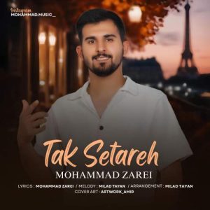 دانلود آهنگ محمد زارعی تک ستاره